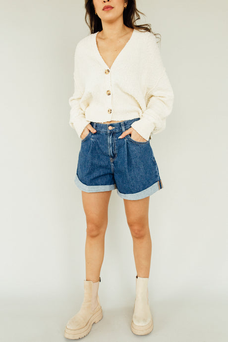 Danni Shorts (FREE PEOPLE)