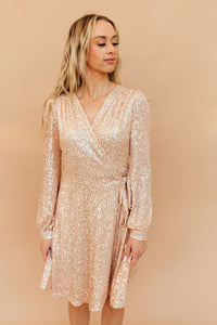 Holiday Sparkle Dress