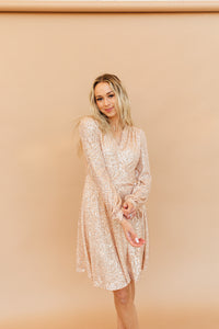 Holiday Sparkle Dress